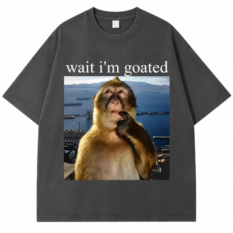 Monkey Graphic